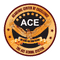 Ace School System