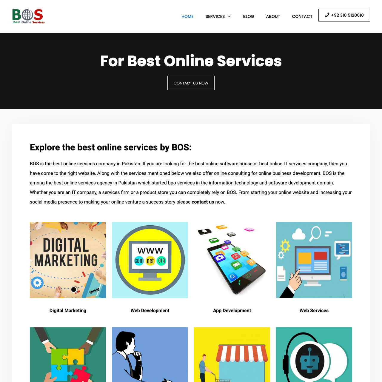 Best Online Services Company